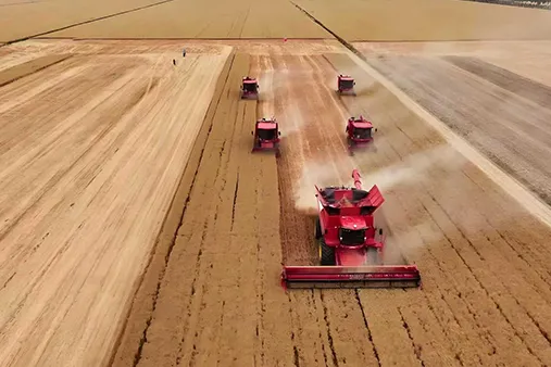 Demand continues to rise in many countries