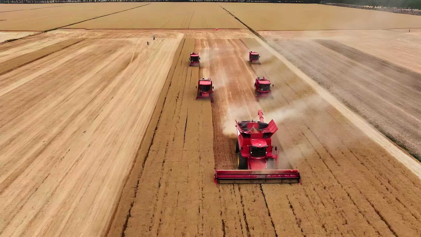 Demand continues to rise in many countries